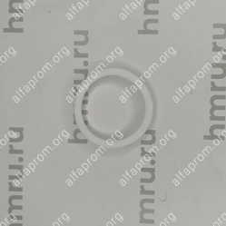 Уплотнительное кольцо PTFE на дозирующий поршень для LPF/PPF-1000